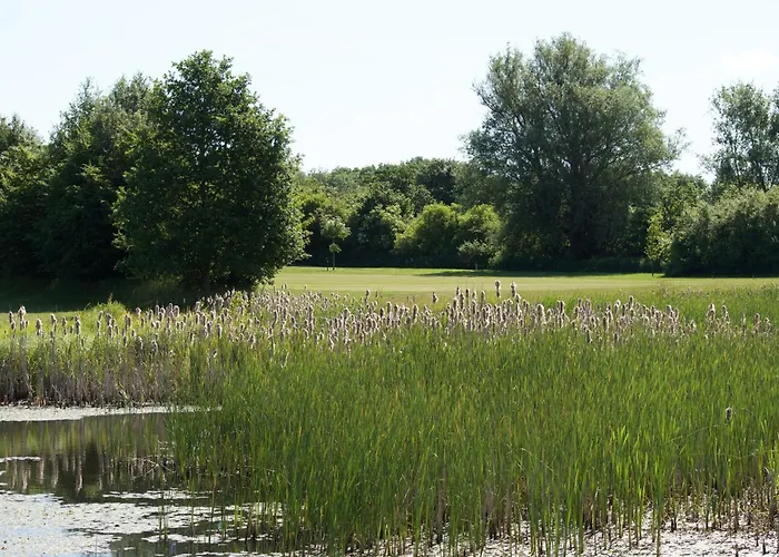 Maritim Seehotel Timmendorfer Hotel 4*